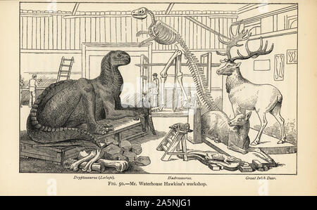 Benjamin Waterhouse Hawkins' Workshop von Dinosaur Modelle. Rekonstruktionen eines Dryptosaurus aquilunguis, Hadrosaurus foulkii und tolle Irische Rotwild, Megaloceros giganteus. Gravur nach einer Illustration von Joseph Smit von Henry Neville Hutchinson die Kreaturen von anderen Tagen, populäre Studium der Paläontologie, Chapman und Hall, London, 1896. Stockfoto