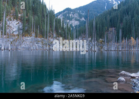 Tote Bäume in Lake Kaindy, Tien-Shan Berge, Kasachstan und Zentralasien Stockfoto