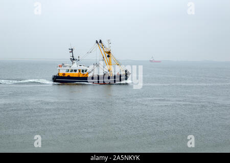 Angeln Boot in Den Helder in den Niederlanden 2019 Stockfoto