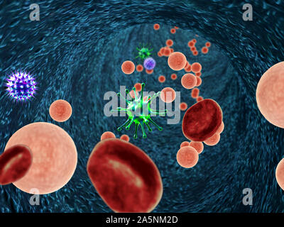 Innerhalb des Blutgefäßes, der weißen Blutkörperchen innerhalb der Blutgefäße, hochwertige 3D-Render von Blutzellen, rote und weiße Blutkörperchen in der Arterie Stockfoto