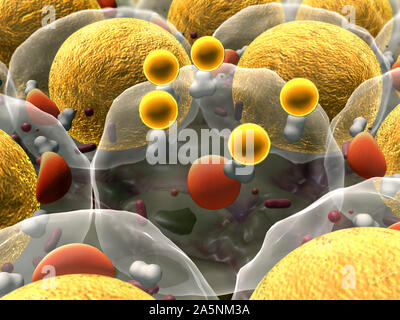 Hochwertige 3D-Render von Fettzellen, Cholesterin in den Zellen, Zellen, Zellteilung, Mikroskopische Aufnahme von Zellen, 3D-Rendering, Zellen, Medizinische v Stockfoto