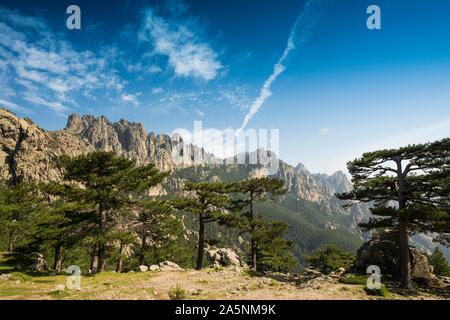 Bergmassiv mit felsigen Gipfeln und Kiefern, Col de Bavella, Bavella-massiv, Korsika, Frankreich Stockfoto