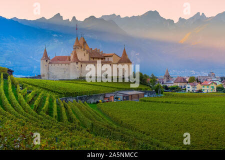 Berühmte Schloss Château d'Aigle in den Weinbergen im Kanton Waadt, Schweiz Stockfoto