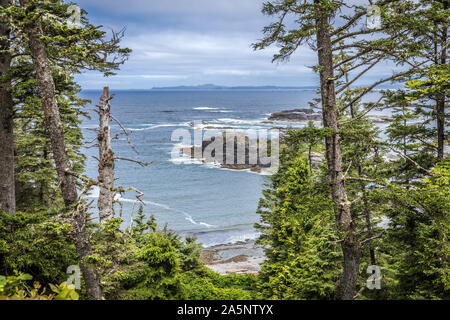 Blick auf die Pazifikküste und Regenwald in der nähe von Tofino, Vancouver Island, British Columbia, Kanada Stockfoto