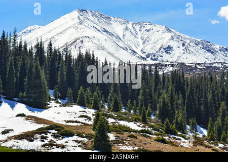 Schöne Winterlandschaft mit Schnee, Wald und Wolken Stockfoto