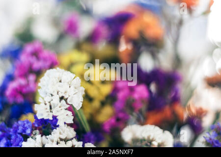 In der Nähe von Bouquet von bunten getrocknete Blumen Hintergrund Textur Stockfoto