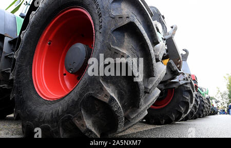 Rendsburg, Deutschland. 22 Okt, 2019. Die Traktoren der demonstrierenden Landwirten werden am Treffpunkt von einer Kundgebung. Allgemein, Bauern protestieren gegen die Agrarpolitik der Bundesregierung mit Kundgebungen. Credit: Carsten Rehder/dpa/Alamy leben Nachrichten Stockfoto