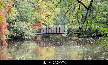 Hölzerne Brücke in der Mitte der Herbst Wald Stockfoto