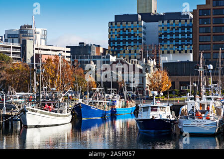 Hobart Australien/kommerziellen Fischerboote in Hobart Tasmanien Victoria Dock Anker ist Heimat für viele von Hobarts kommerzielle Fischereifahrzeuge. Stockfoto