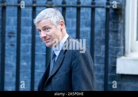 London, Großbritannien. 22 Okt, 2019. Zac Goldsmith kommt an einer Kabinettssitzung am 10 Downing Street, London Quelle: Ian Davidson/Alamy leben Nachrichten Stockfoto