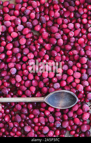Hintergrund Der gefrorene frische Cranberries mit Vintage Löffel aus Holz erhalten. Bild geschossen von der Ansicht von oben. Stockfoto