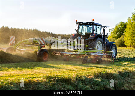 Traktor mit Heu Heuwender auf dem Feld Stockfoto