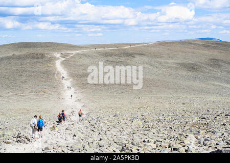 Wanderer Stockfoto