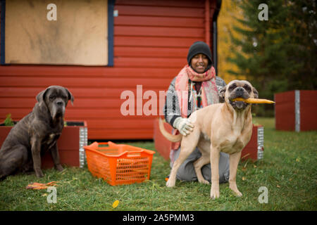 Frau mit Hunde und frisch gepflückte Karotten Stockfoto