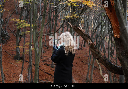 Frau unter Bild im Herbst Wald Stockfoto