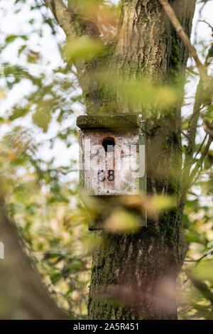 Cromwell Bottom Nature Reserve, Elland, Großbritannien Stockfoto