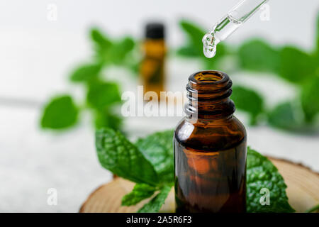 Minze ätherisches Öl Tropfen fallen von Dropper in die Flasche. Stockfoto