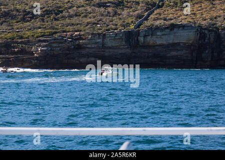 Blick auf die Sydney Heads, Überfahrt von Watsons Bay zu Manly auf der Schnellfähre dauert ca. 15 Minuten. Ein Fischerboot. Stockfoto