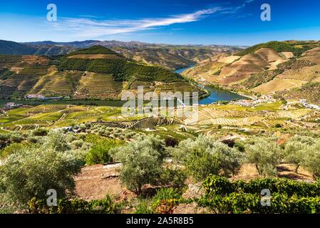Blick auf die Weinberge und den Fluss Duero, Pinhao, Portugal. Stockfoto