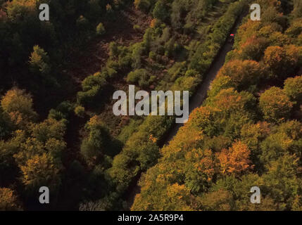 Herbstliche Farben auf Anzeige an Micheldever Holz in Hampshire. Stockfoto