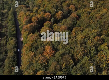 Herbstliche Farben auf Anzeige an Micheldever Holz in Hampshire. Stockfoto