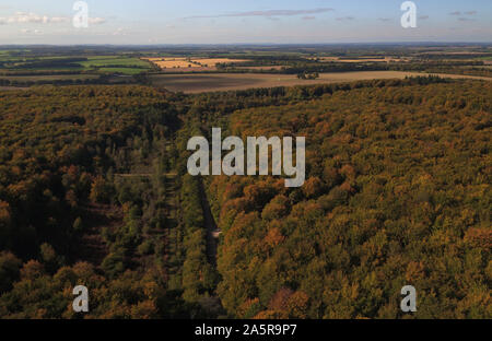 Herbstliche Farben auf Anzeige an Micheldever Holz in Hampshire. Stockfoto