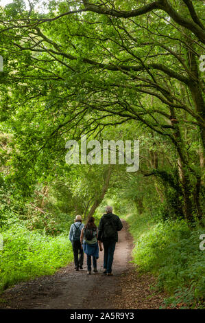 Drei Wanderer entlang der Kuckuck Trail stillgelegten Bahnstrecke zwischen Tain und Heathfield, East Sussex, England. Stockfoto
