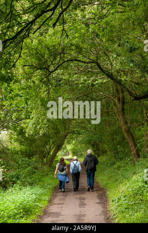 Drei Wanderer entlang der Kuckuck Trail stillgelegten Bahnstrecke zwischen Tain und Heathfield, East Sussex, England. Stockfoto