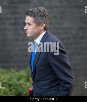 Downing Street, London, UK. 22. Oktober 2019. Gavin Williamson, der Staatssekretär für Bildung, in Downing Street für die wöchentliche Kabinettssitzung. Credit: Malcolm Park/Alamy Leben Nachrichten. Stockfoto