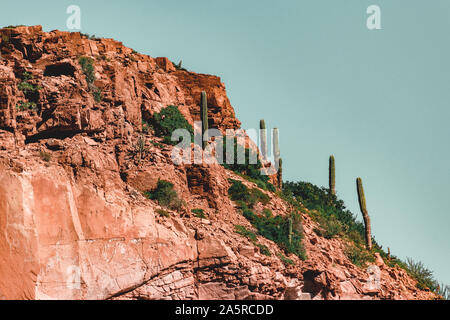 Suchen von den roten Felsen und Kaktus von Isla Espiritu Santo, BCS. Stockfoto