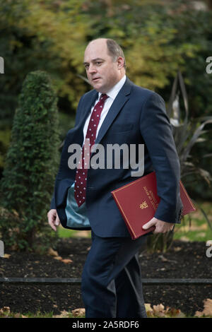 Downing Street, London, UK. 22. Oktober 2019. Ben Wallace, Staatssekretär für Verteidigung kommt in Downing Street für die Sitzung. Credit: Malcolm Park/Alamy Leben Nachrichten. Stockfoto