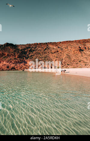 Unberührte Strand an der Küste der Isla Espiritu Santo BCS Stockfoto