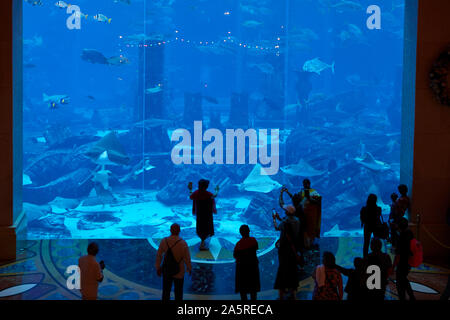 Menschen am Aquarium und Unterwasser Zoo im Atlantis Palm, Dubai, Vereinigte Arabische Emirate Stockfoto