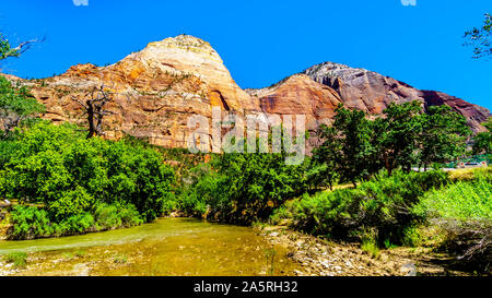 Die Massive Rot-, Rosa- und Cremefarbenen Sandsteinfelsen von Bridge Mountain gesehen von der Pa'rus Weg entlang des Virgin River im Zion National Park, Utah Stockfoto