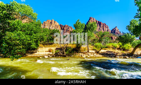 Die Rot-, Rosa- und Cremefarbenen Sandsteinfelsen der Wächter und Brücke Berg aus der Pa'rus Trail gesehen entlang er Virgin River im Zion National Park Stockfoto