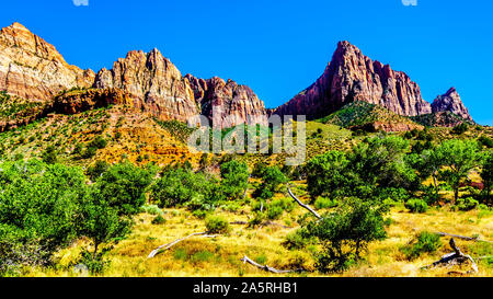 Der Wächter und die Klippen von Bridge Mountain gesehen von der Pa'rus Trail entlang und über den mäandernden Virgin River im Zion National Park folgt Stockfoto