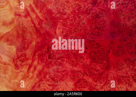 Nahaufnahme natur Jamba rosa Wurzelholz gestreift, exotische Holz- schöne Muster für das Handwerk oder abstrakte Kunst Textur Hintergrund Stockfoto