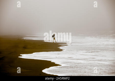 Wandern entlang der Brandung, Gold Bluffs Beach State Park Stockfoto