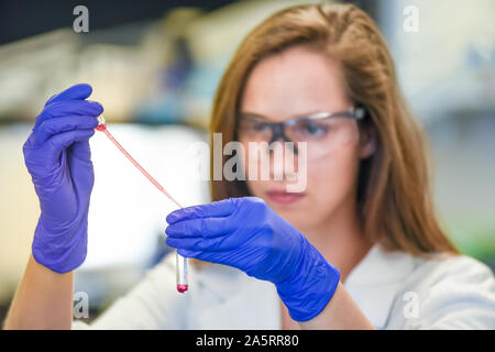 Wissenschaftlerin in der Biotechnologie Labor Stockfoto