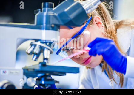 Wissenschaftler, Die Im Laborbestand arbeiten Foto Slowenien, Erwachsene, nur Erwachsene, Analyse, Biochemie Stockfoto
