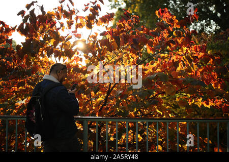 Herbstliche Farben auf dem Display im St James's Park, London. Stockfoto