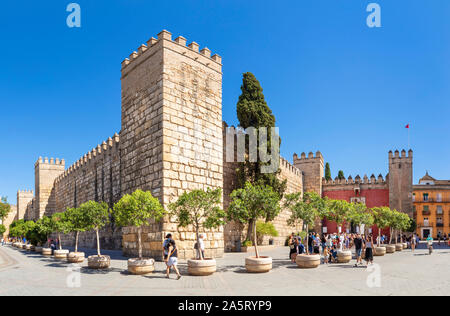 Warteschlangen von Menschen, die darauf warteten, der Alcazar Palast Royal Alcázar von Sevilla Real Alcázar Sevilla Sevilla Spanien Sevilla Andalusien Spanien EU Europa eingeben Stockfoto