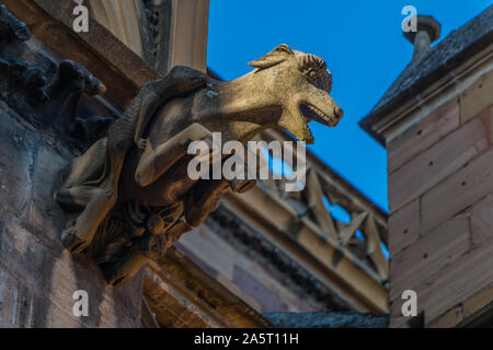 Ein Bild von einem Tier Statue auf der Fassade der Kirche Collégiale St-Martin, in Colmar. Stockfoto