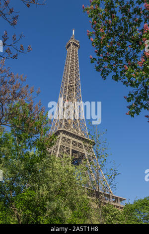 Ein Bild der Eiffelturm als durch einige in der Nähe Vegetation gesehen. Stockfoto
