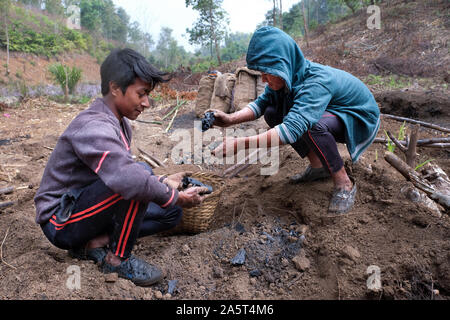 Herstellung von Holzkohle im Dorf Umsolaith, Khasi Hills - St. Francis Eco-Spirituality Centre in Orlong Hada, Meghalaya State, Indien, Asien Stockfoto