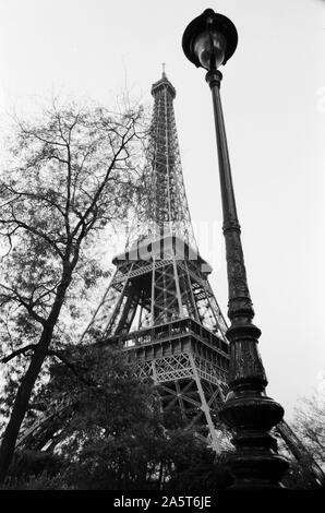 Eiffelturm, Champs de Mars Stockfoto