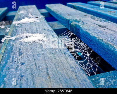 Gefrorene Spinnweben auf einem blauen Palette. Stockfoto