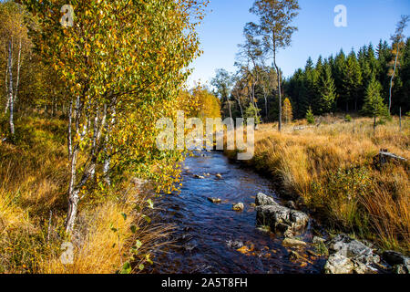 Belgien, Wallonien, das Hohe Venn, Hochmoor, in der Region Eifel und Ardennen, Naturpark Hohes Venn-Eifel, nordöstlich vom Baraque Michel, Bach, Stockfoto