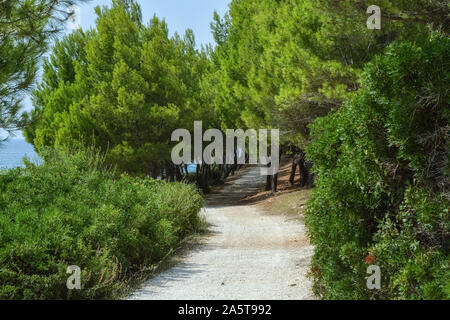 Wanderweg für Spaziergänge entlang der Küste auf der Roten Insel in Kroatien. Stockfoto