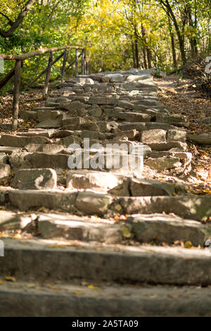 Alte Treppen aus Stein in einem Wald im Herbst gemacht Stockfoto